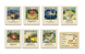 CATAN. Мореплавці (Seafarers) - Доповнення до настільної гри CATAN-SEA-UA фото 6