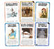 Бенґ! Набір доповнень (BANG! Expansion Pack) - Доповнення для настільної гри BANG-ESET-UA фото 3